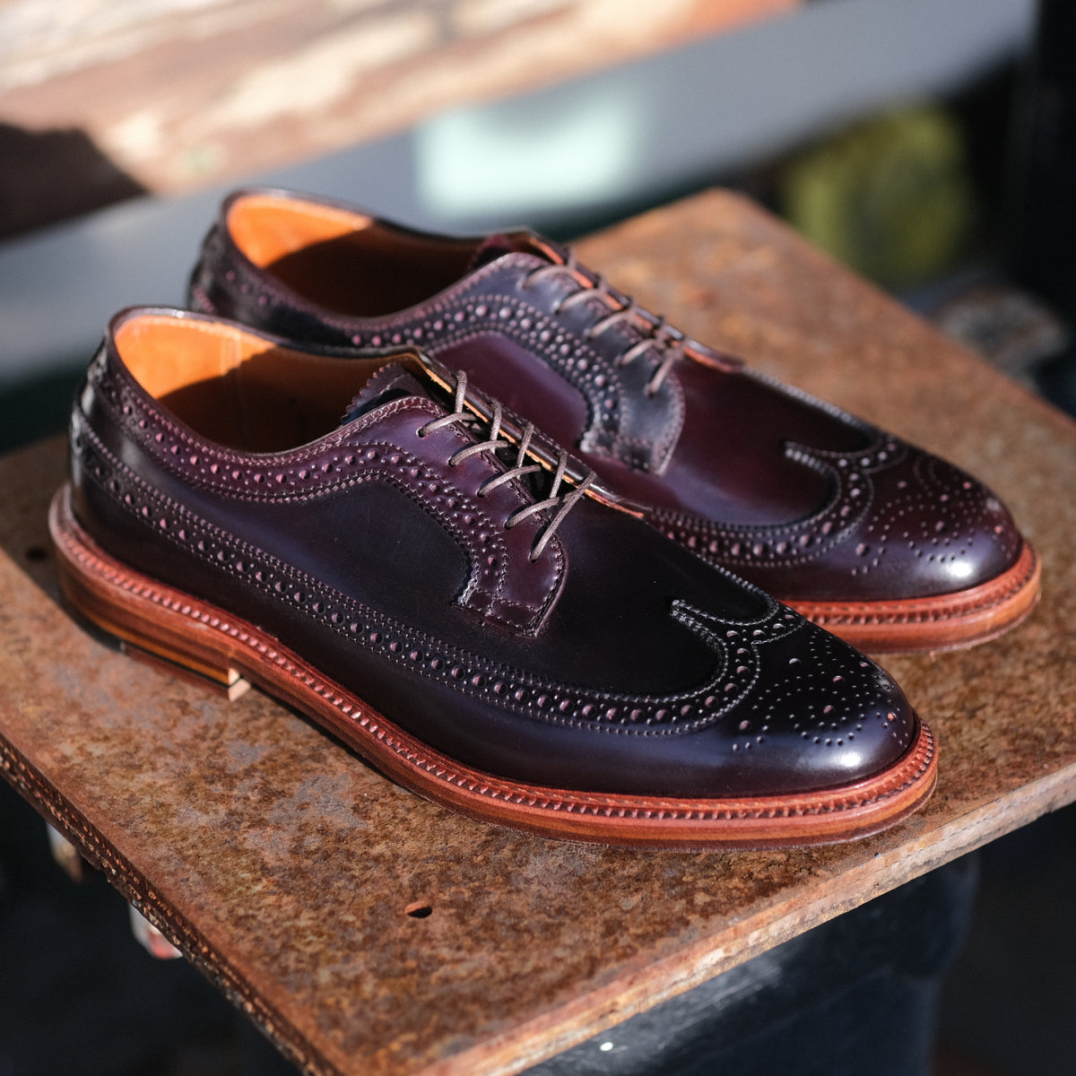 Alden x Brogue Long Wing Blucher BROGUE
