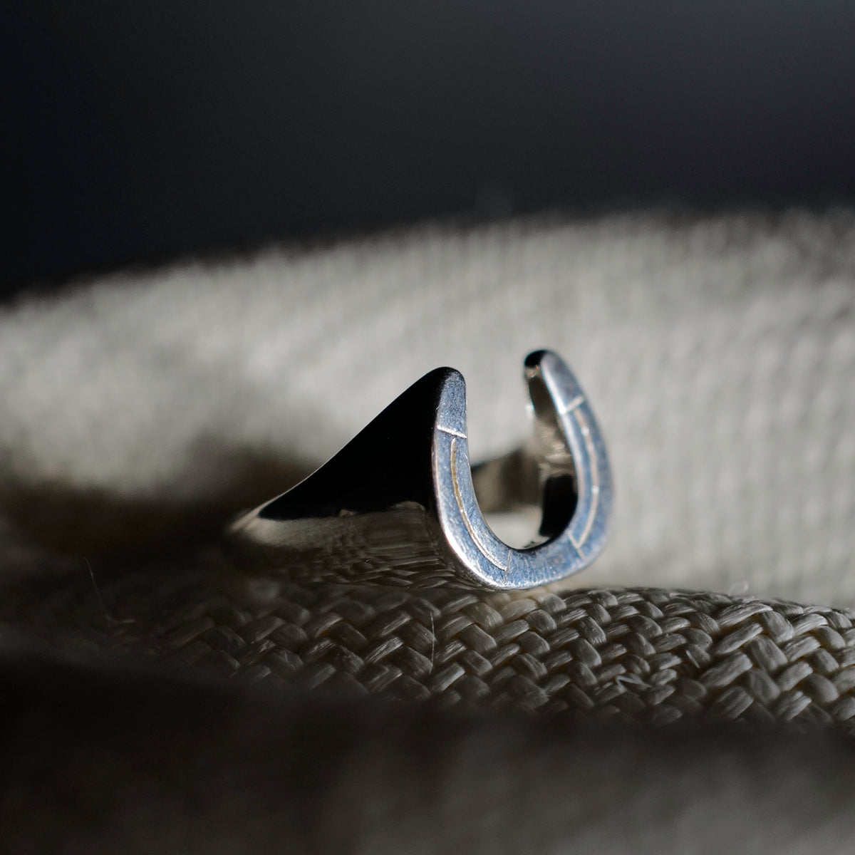 Attractions - Horseshoe Ring – BROGUE