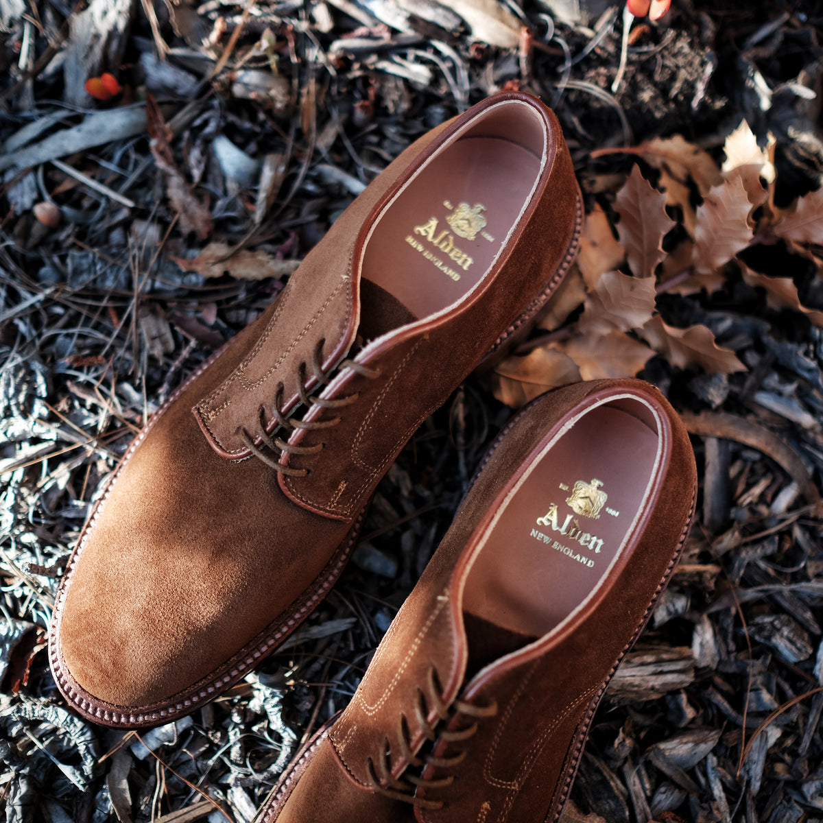 Alden Unlined Suede Dover BROGUE