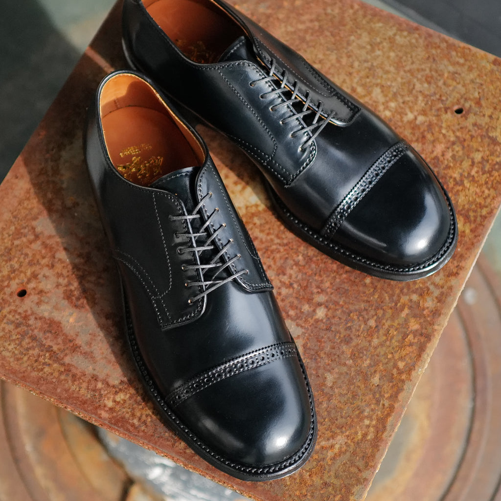 Alden x Brogue Bronco Blucher (Black)