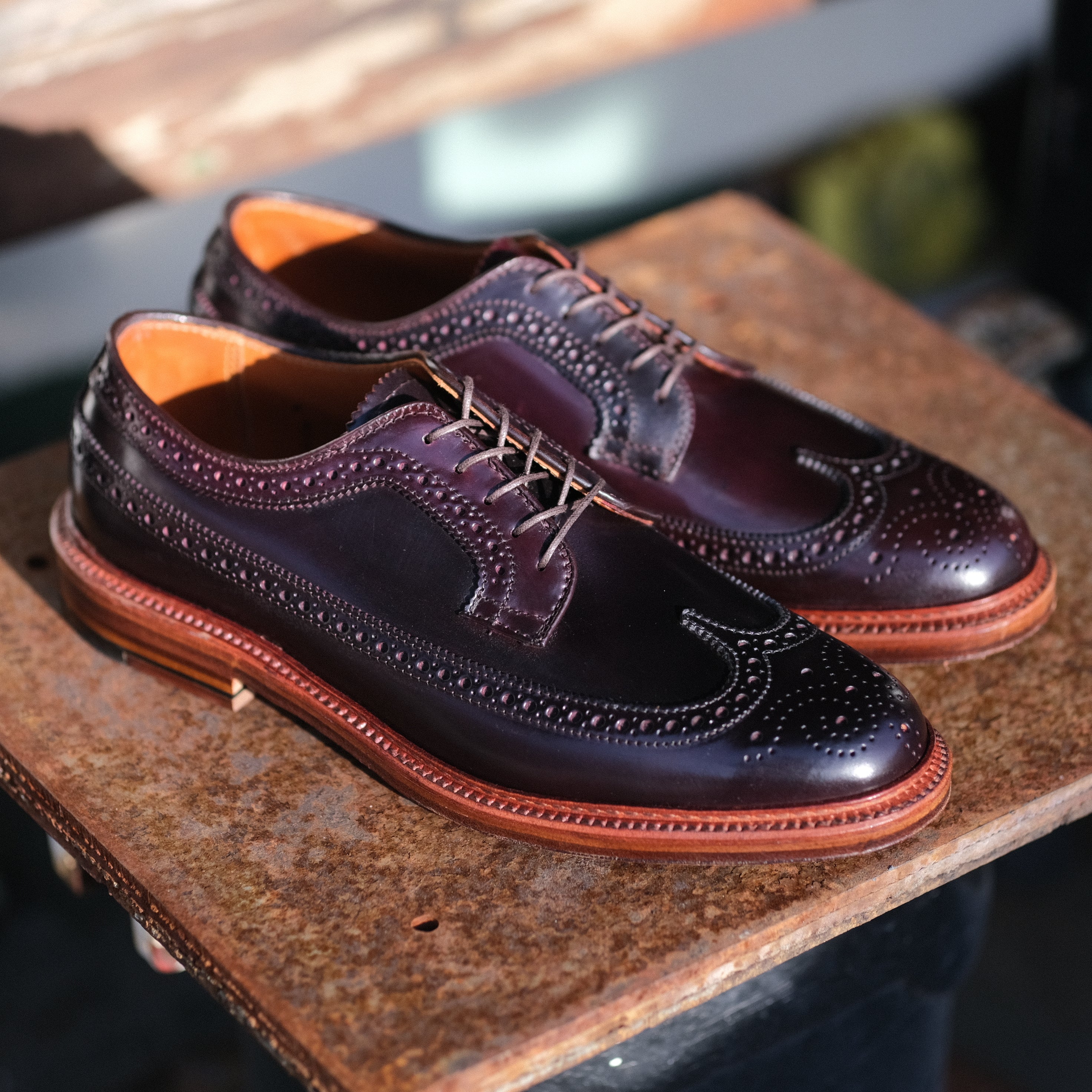 Alden x Brogue Long Wing Blucher – BROGUE