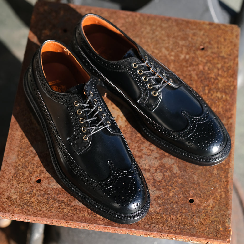 Alden x Brogue Mitsui Long Wing Blucher