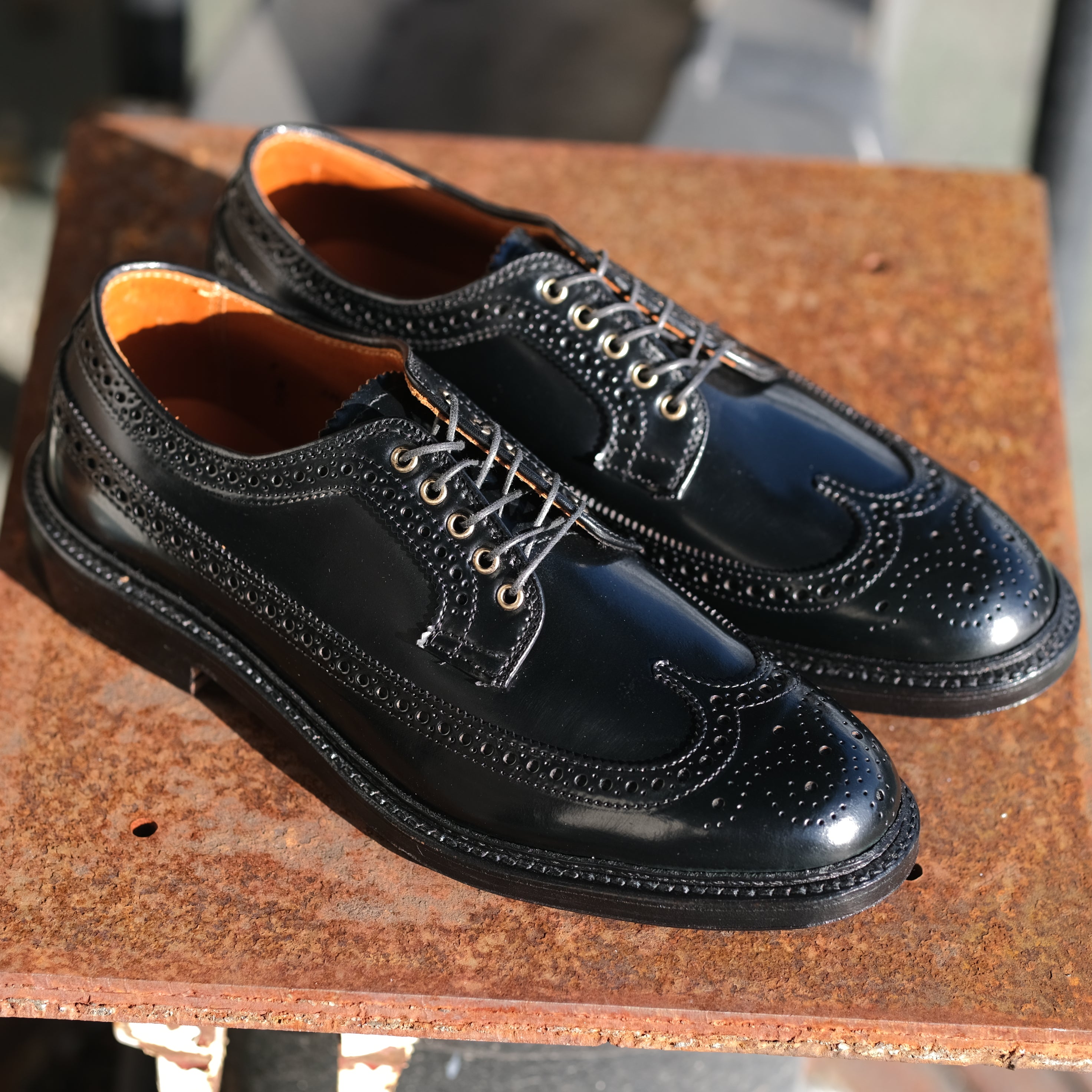 Alden x Brogue Mitsui Long Wing Blucher – BROGUE