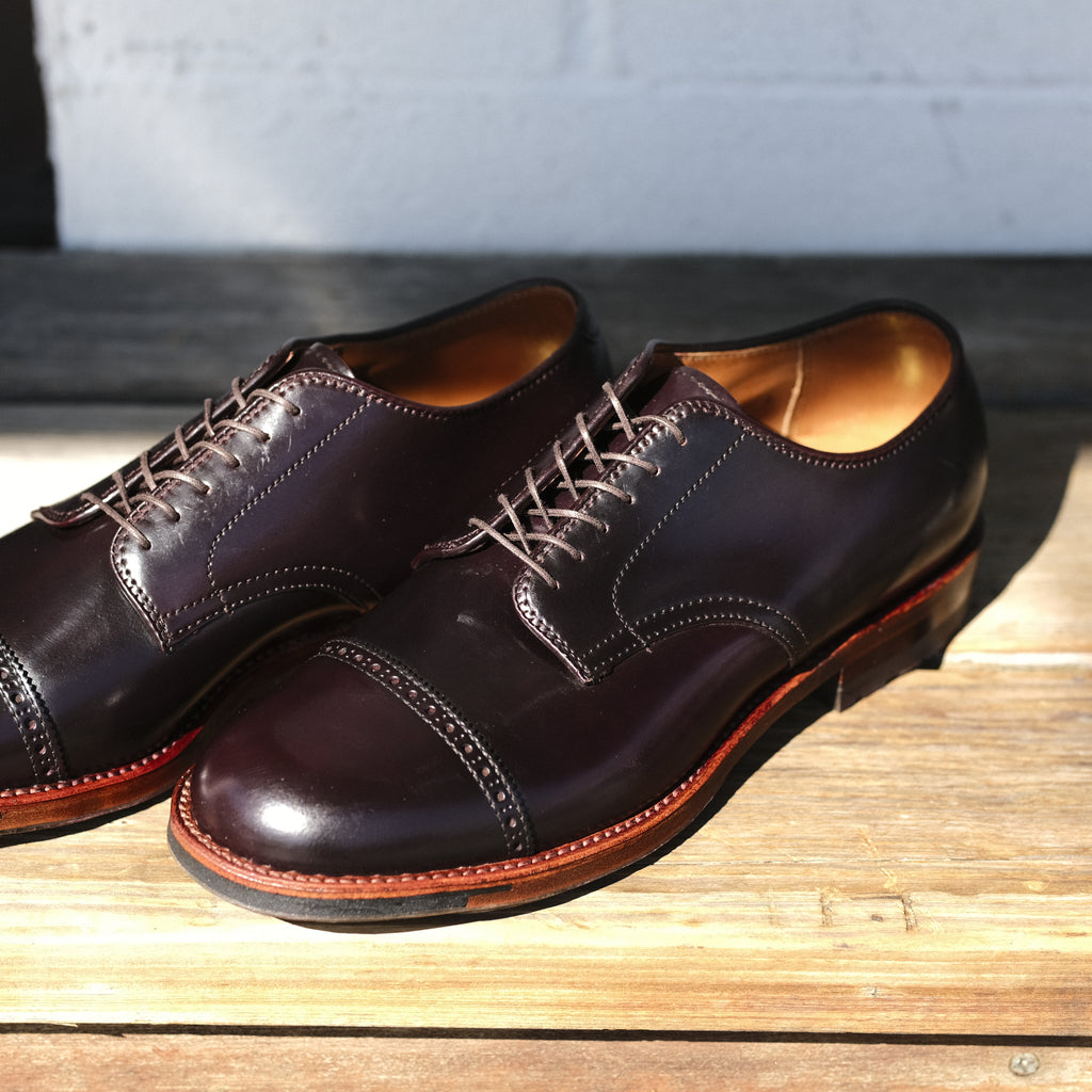 Alden x Brogue Bronco Blucher (Color #8 )