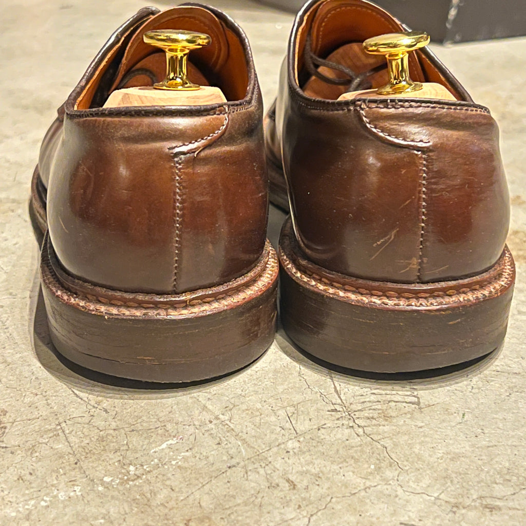 Alden Cigar Shell Plain Toe Blucher