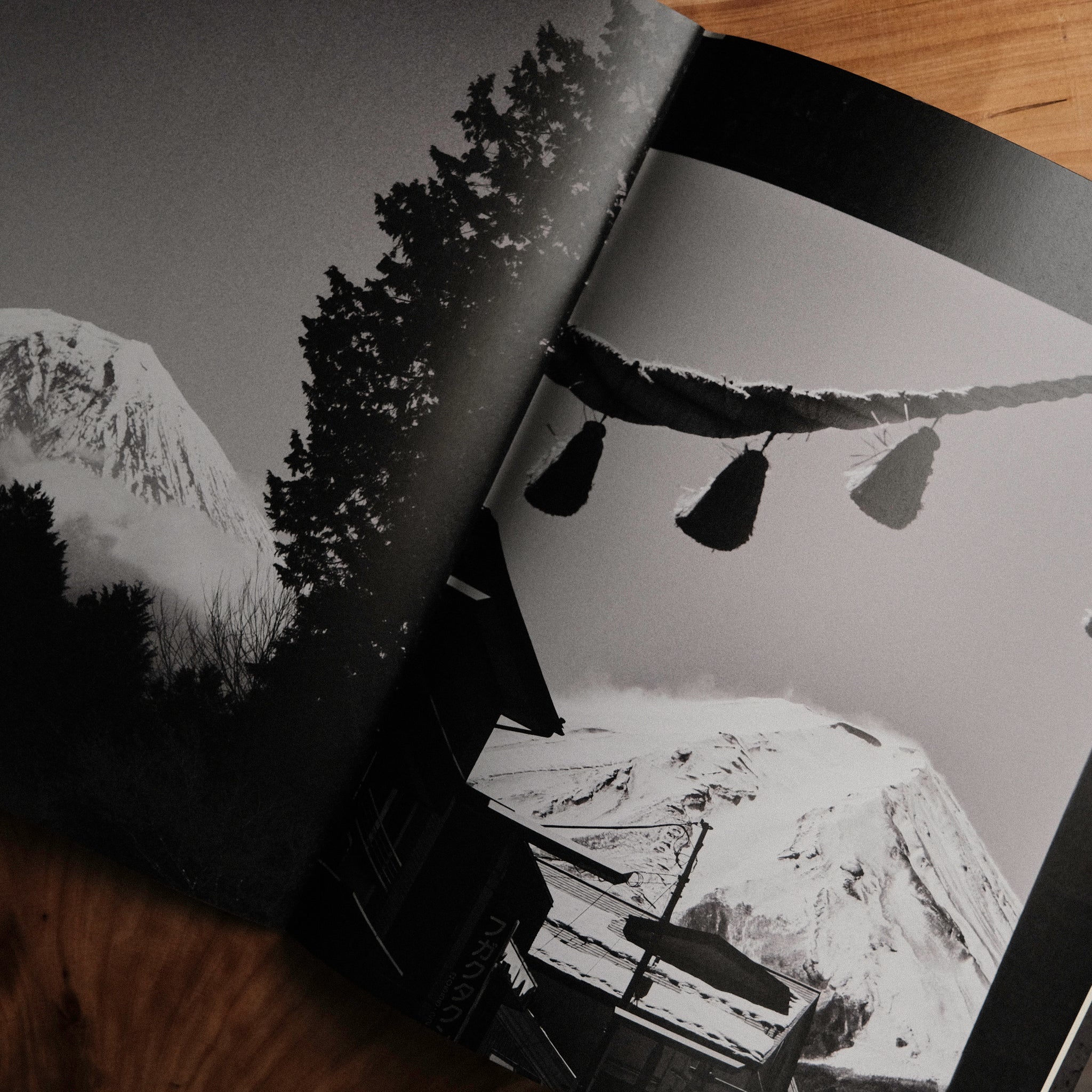 TIMEWORN CLOTHING Tales of Tomorrow No.11 Magazine – BROGUE