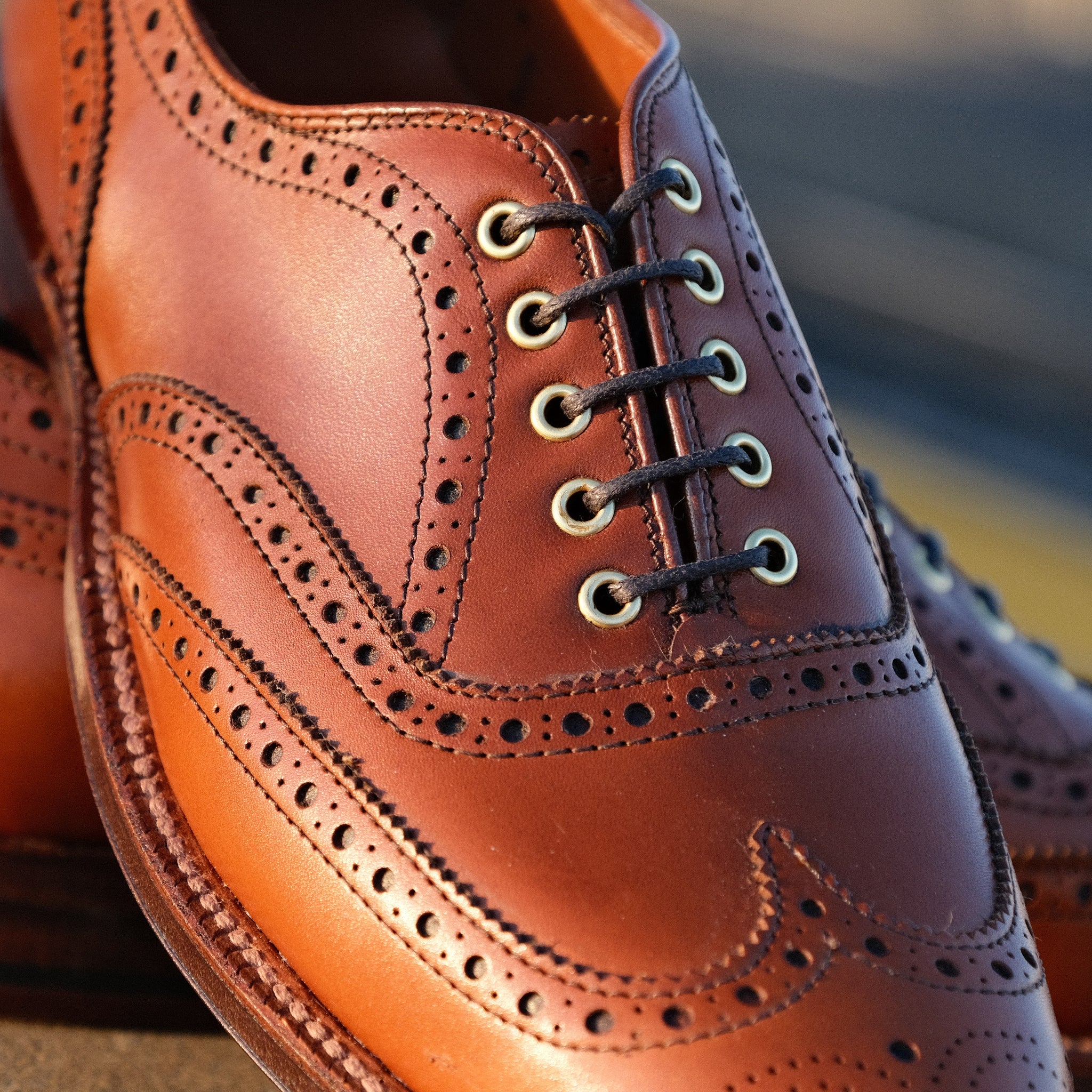 Alden x Brogue Frank Oxford – BROGUE