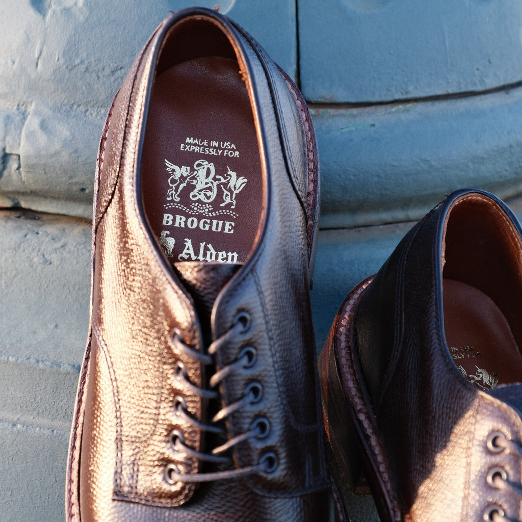 Alden x Brogue Fuente Blucher