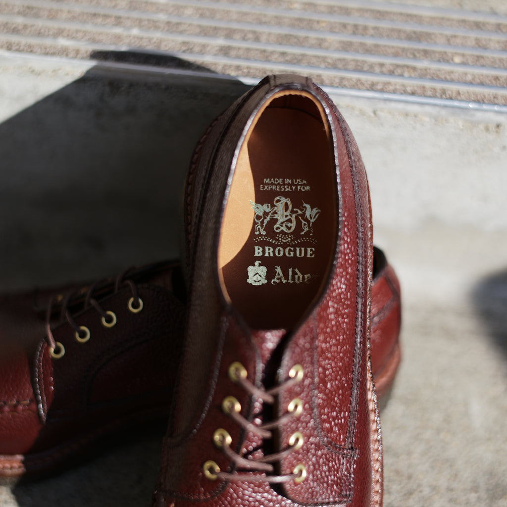 Alden x Brogue Ranger Mocc Blucher