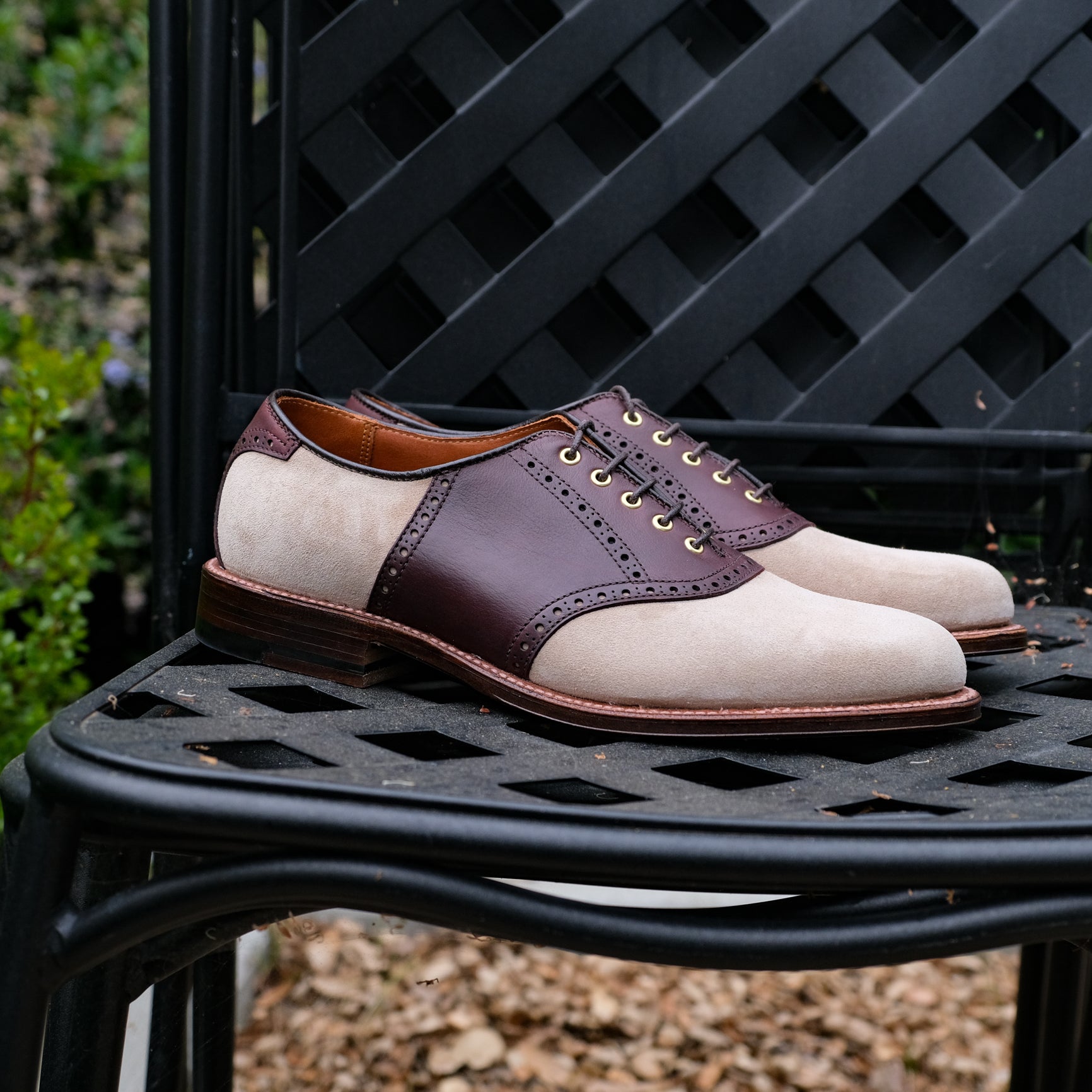 Alden x Brogue " Sinatra " Saddle Oxford BROGUE