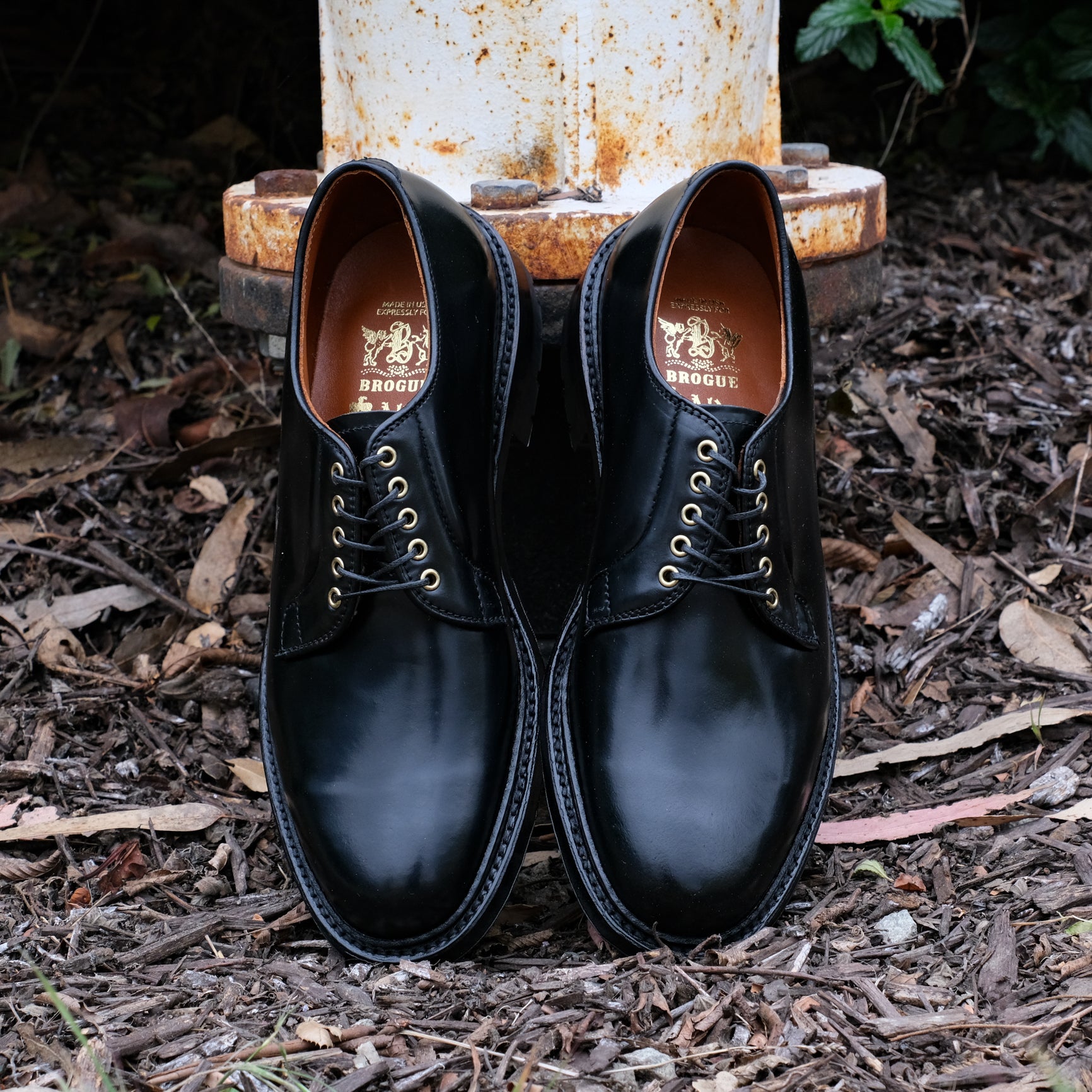 Alden x Brogue Knott Plain Toe Blucher – BROGUE