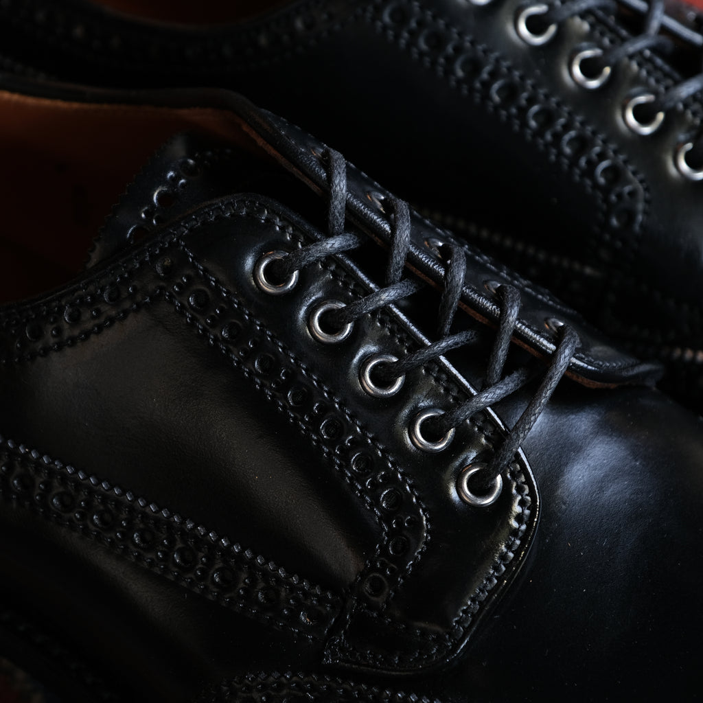 Alden x Brogue Masamune Blucher (Black Shell)