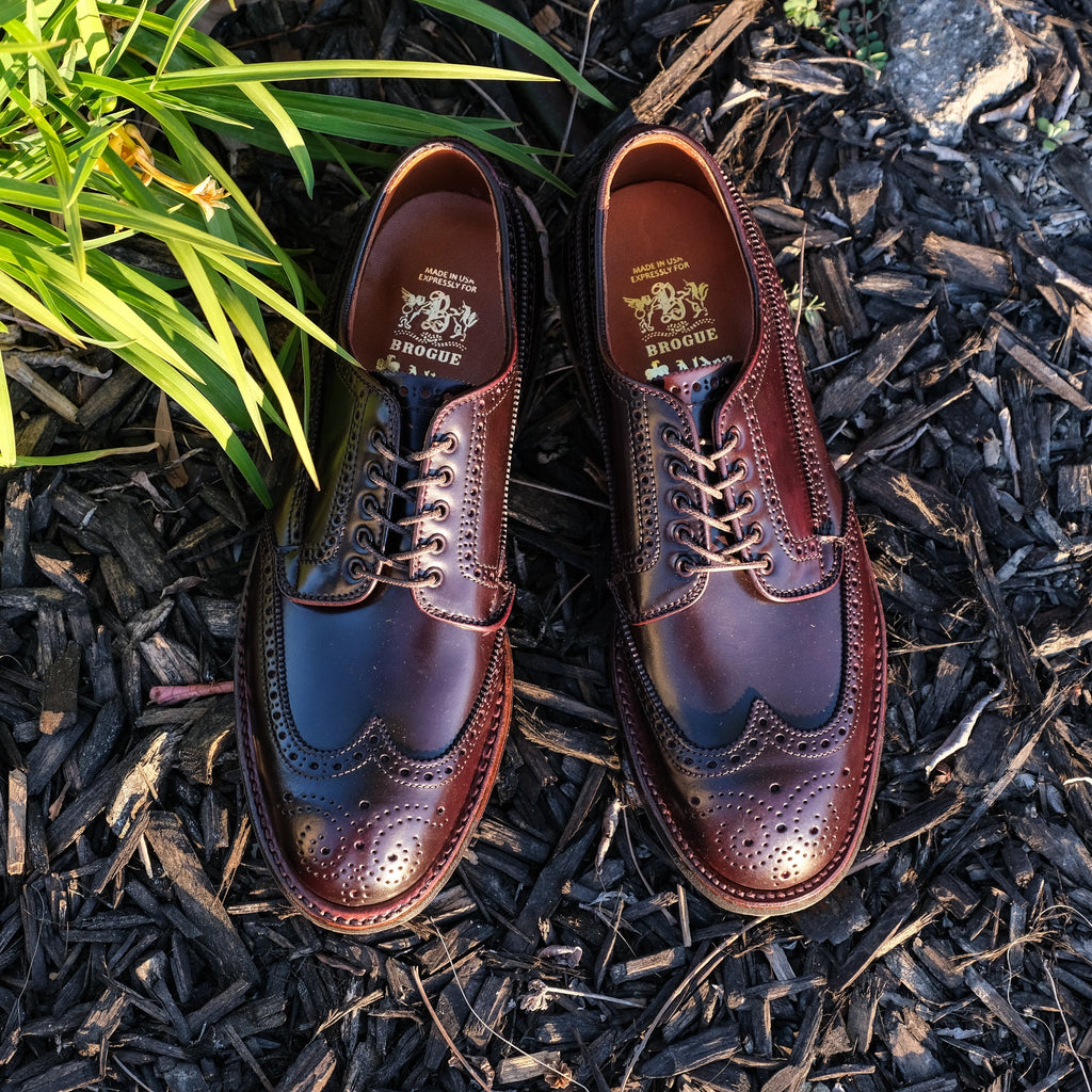 Alden x Brogue Masamune Blucher (Color 8 Shell)