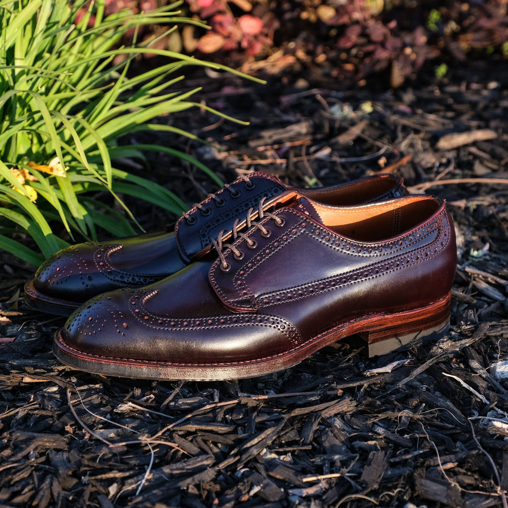 Alden x Brogue Masamune Blucher (Color 8 Shell)