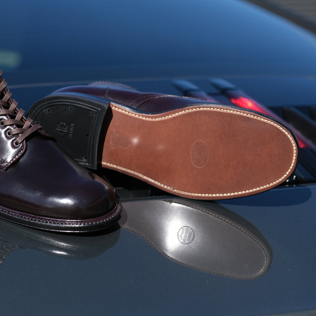 Alden x Brogue Ruby Hill Boot