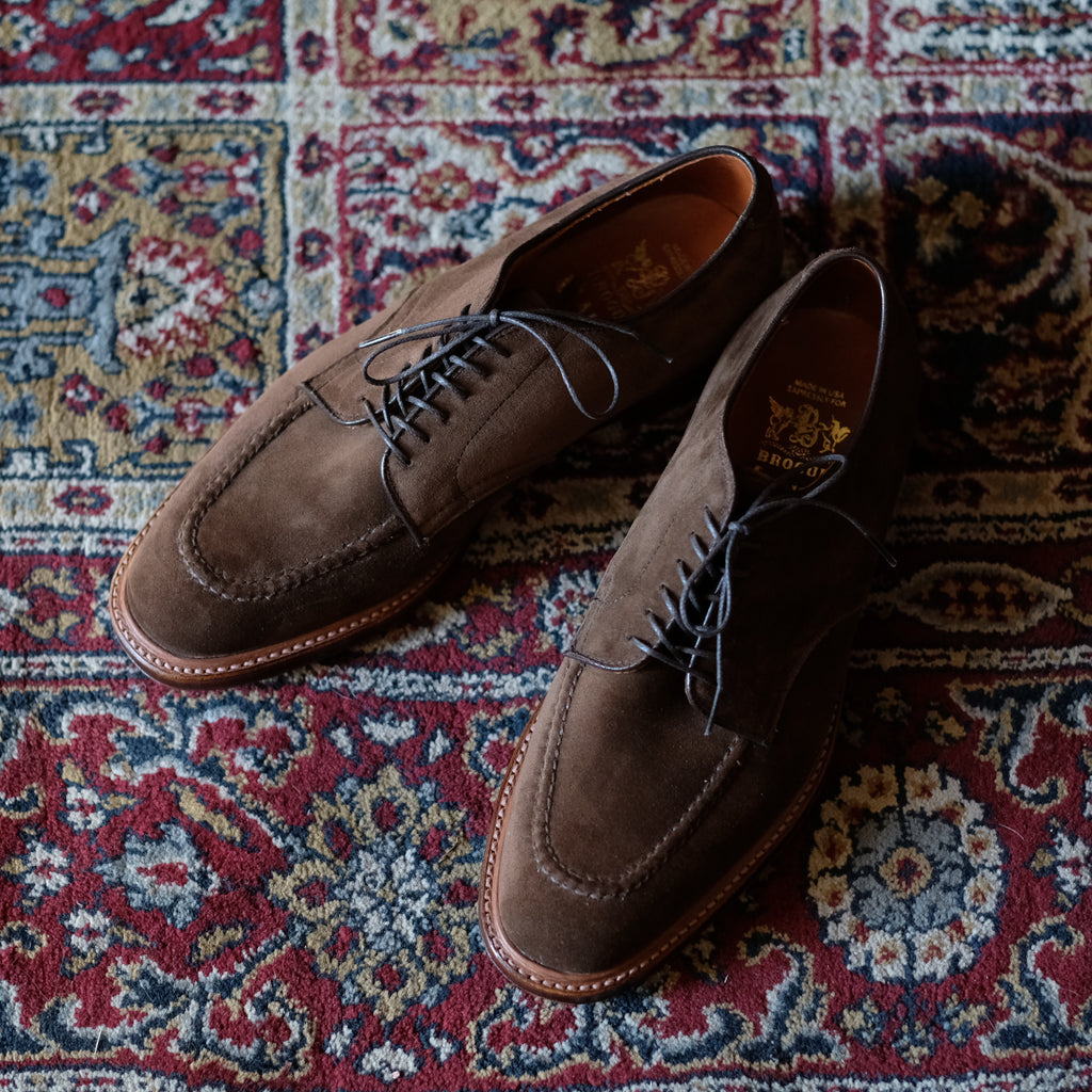 Alden x Brogue Mentor Blucher