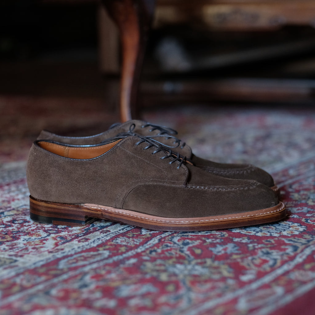Alden x Brogue Mentor Blucher