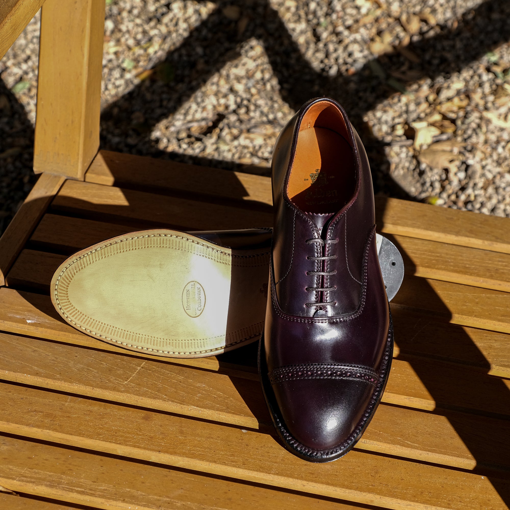 Alden Straight Perf Tip Oxford – BROGUE