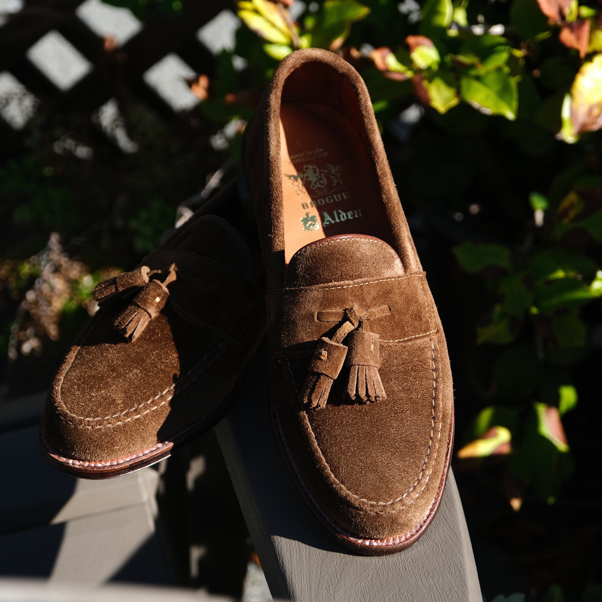 DSCF5765_980cb23c-dea4-4da0-