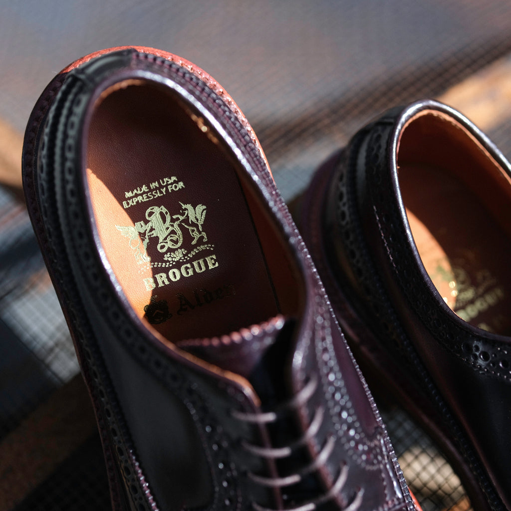 Alden x Brogue Long Wing Blucher