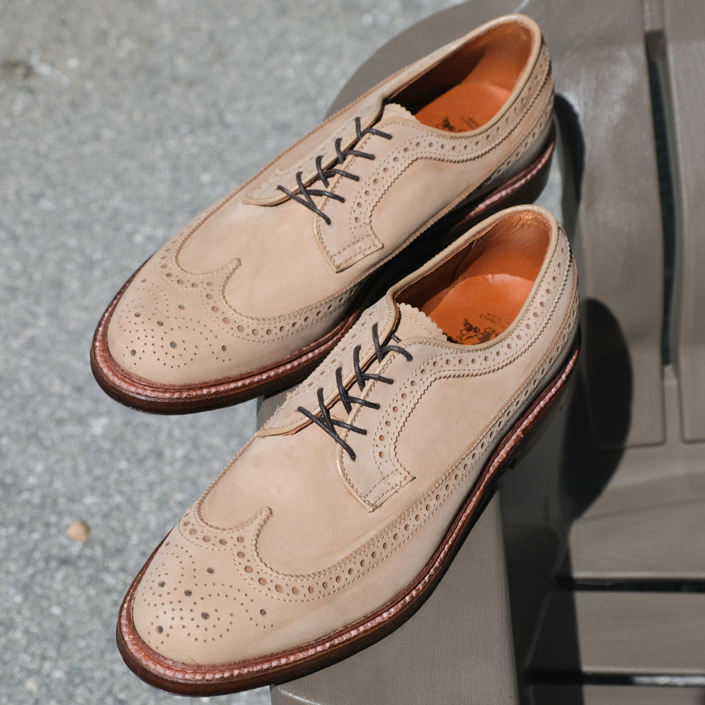 Alden x Brogue Ramon Long Wing Blucher
