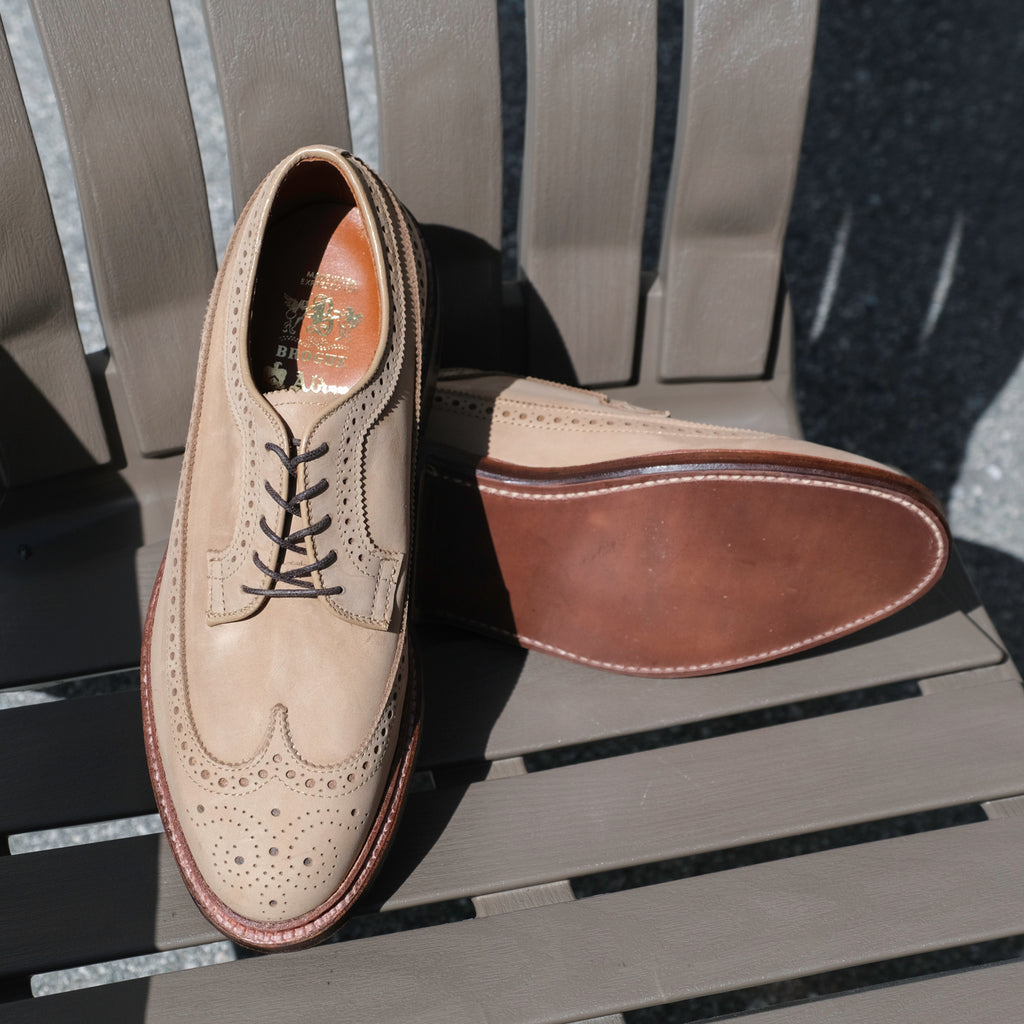 Alden x Brogue Ramon Long Wing Blucher