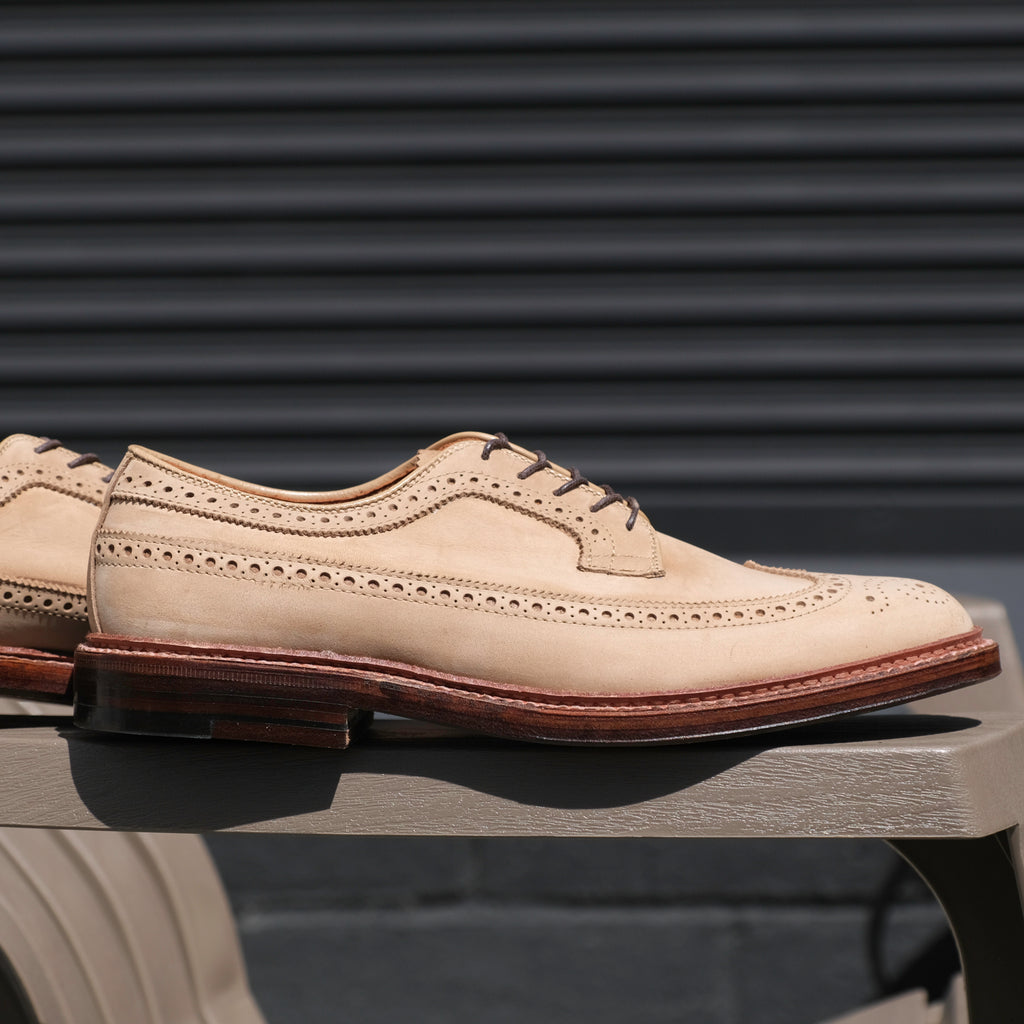 Alden x Brogue Ramon Long Wing Blucher