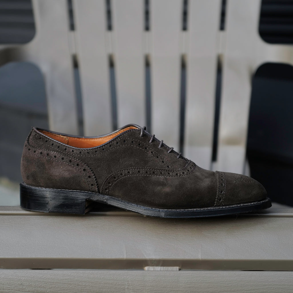 Alden x Brogue Carrera Oxford