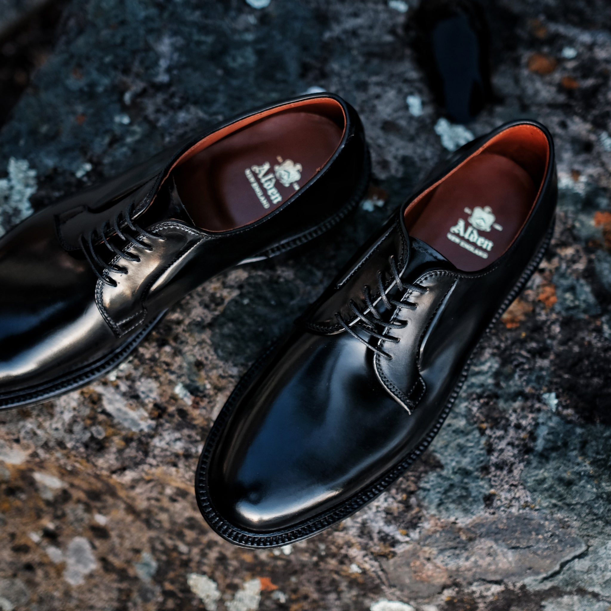 Alden Black Plain quarturn Toe