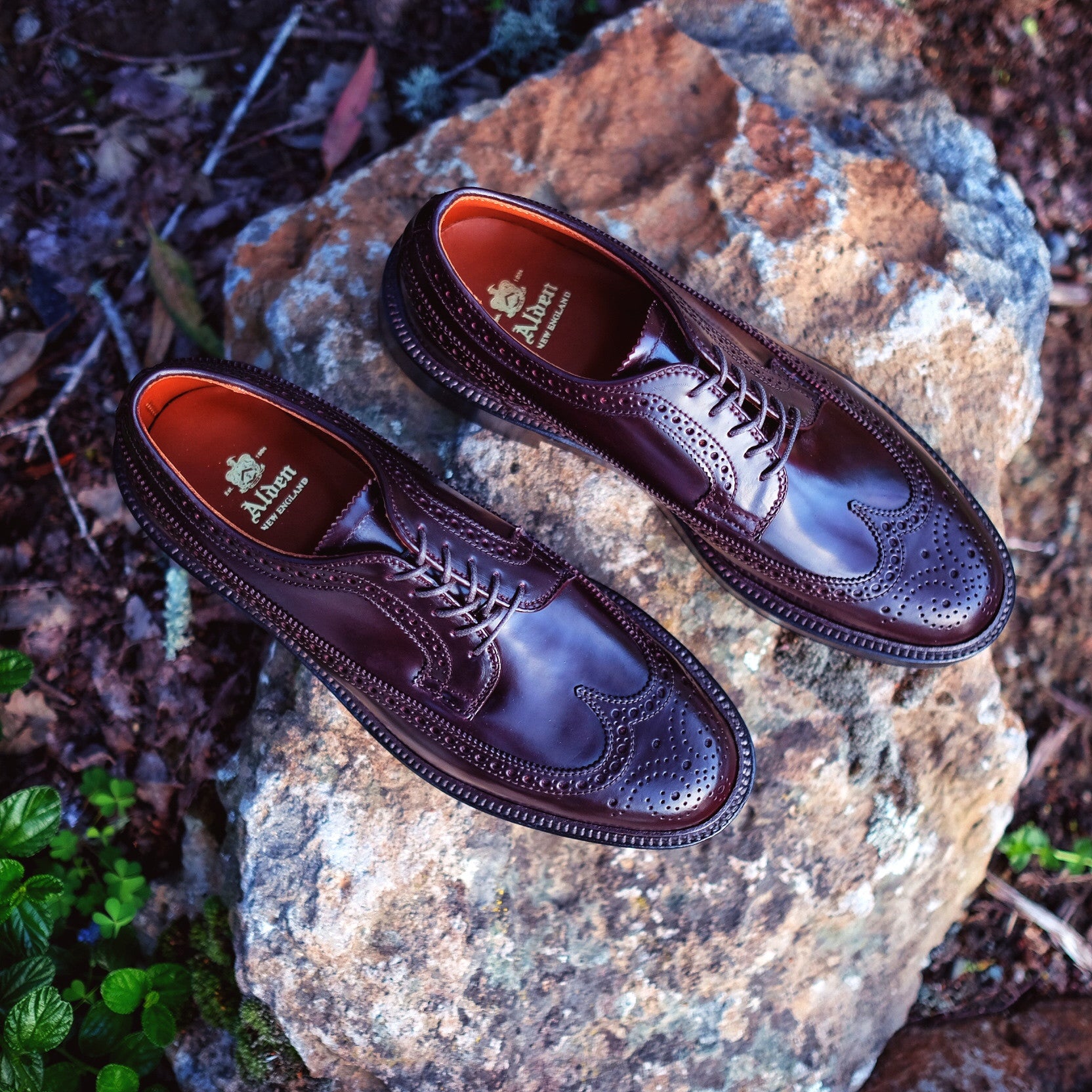 Alden Long Wing Blucher – BROGUE