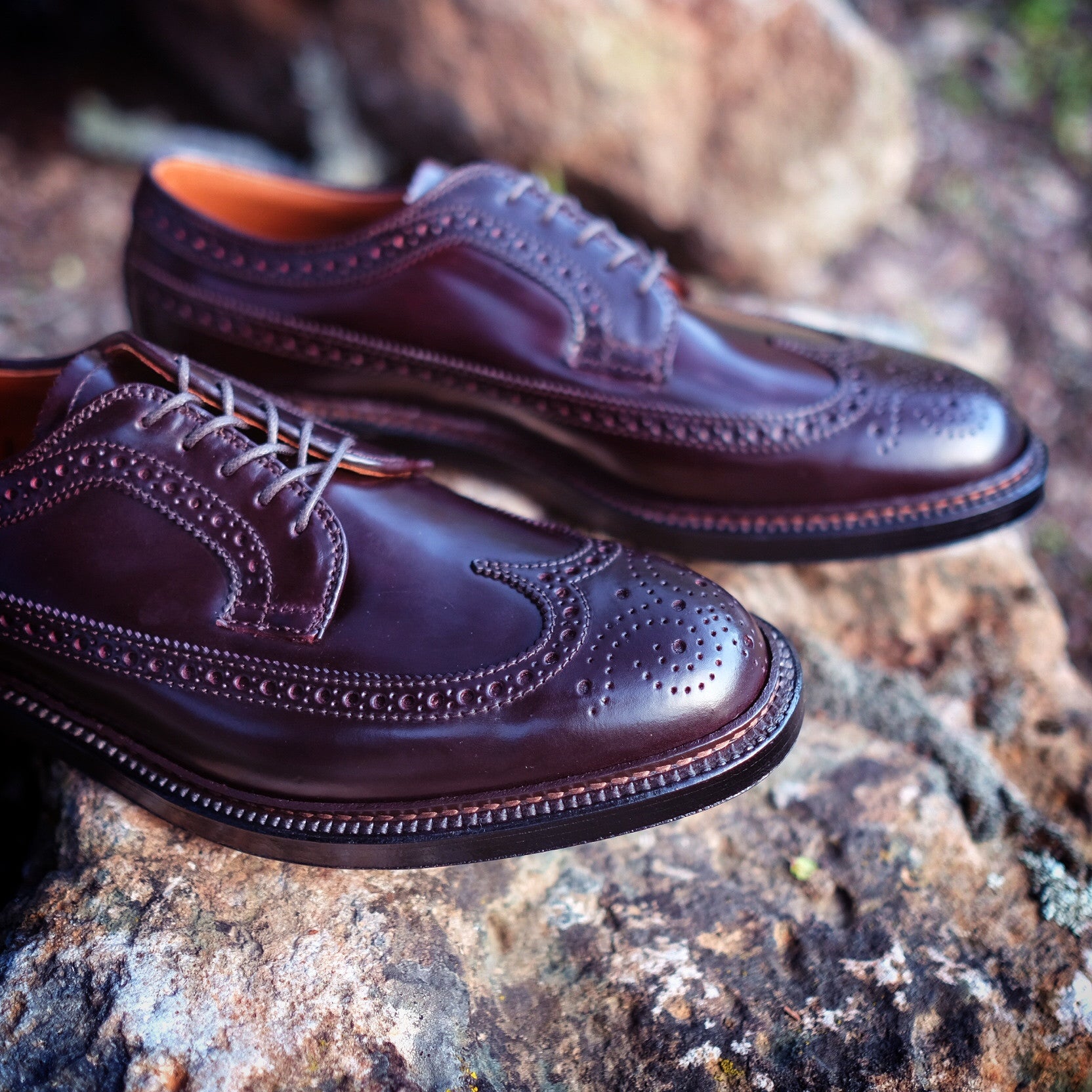Alden Long Wing Blucher – BROGUE