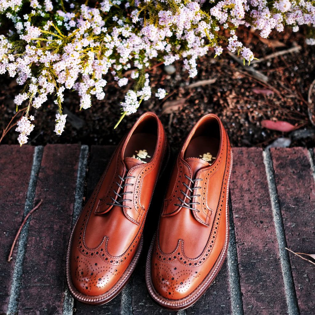 Shoes - Brogue