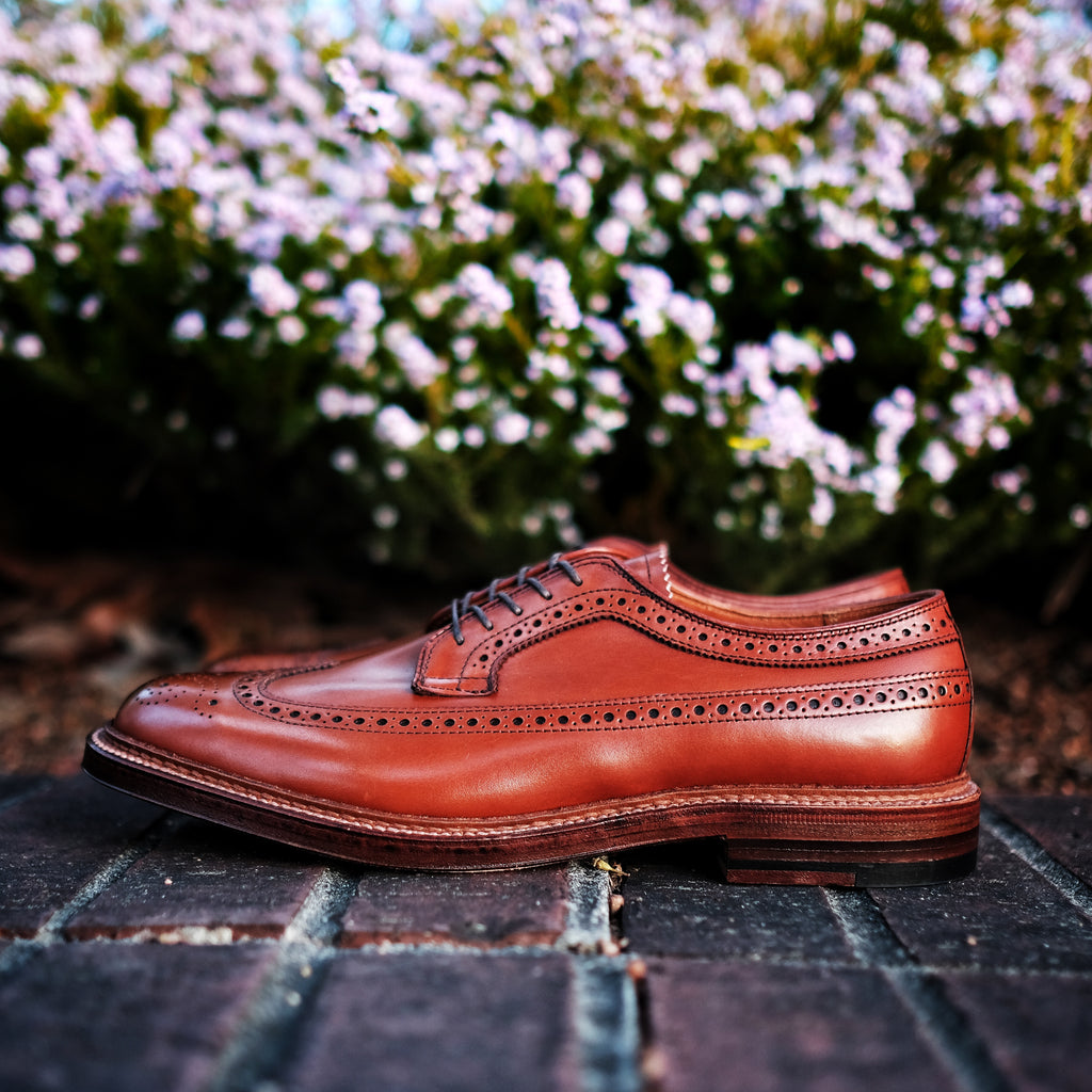 Shoes - Brogue