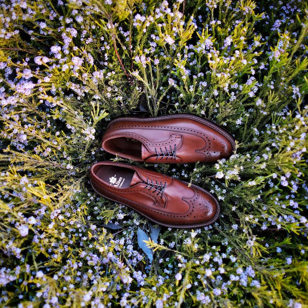 Shoes - Brogue