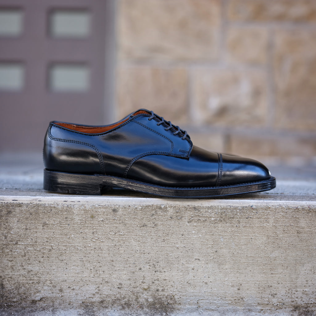 Alden Straight Tip Blucher