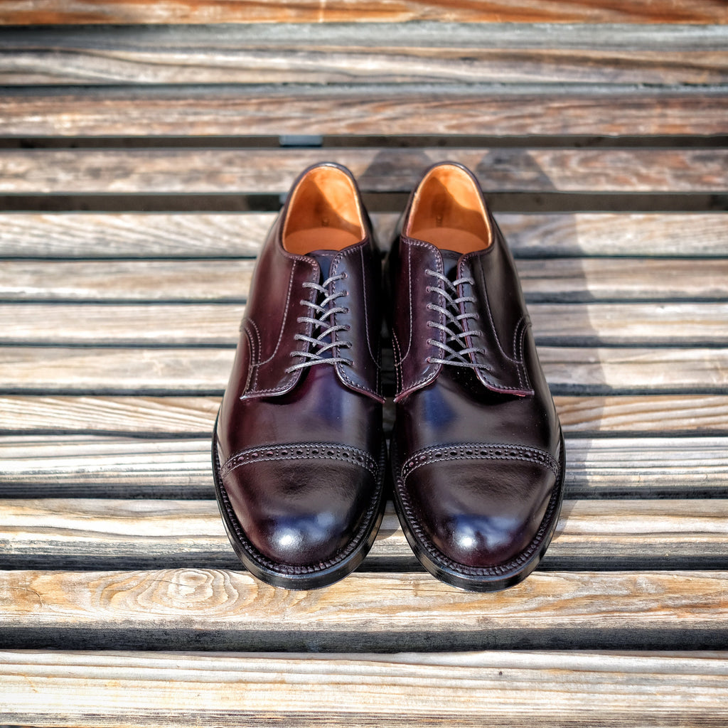 Alden x Brogue Ginza Blucher