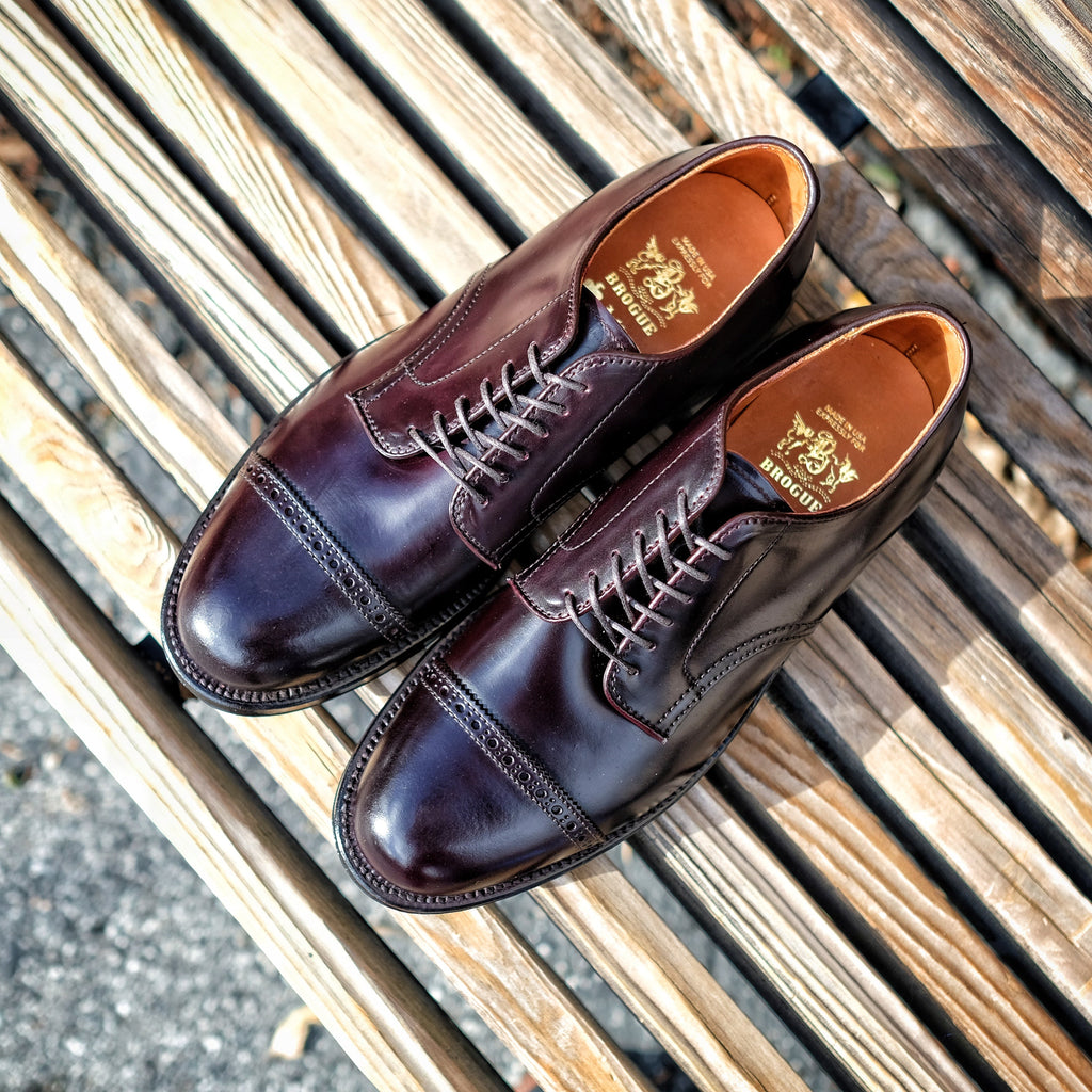 Alden x Brogue Ginza Blucher