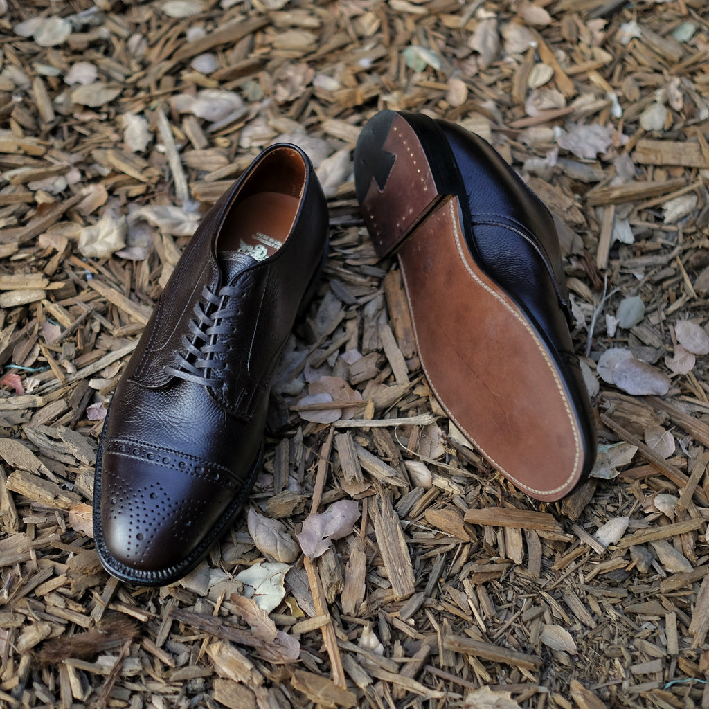 Shoes - Brogue