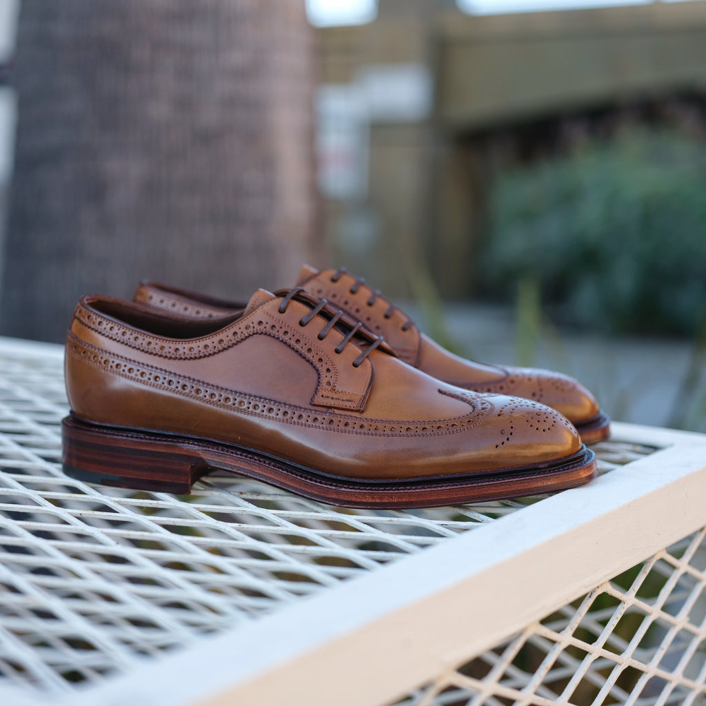 Carmina Bourbon Shell Cordovan Long Wing Blucher