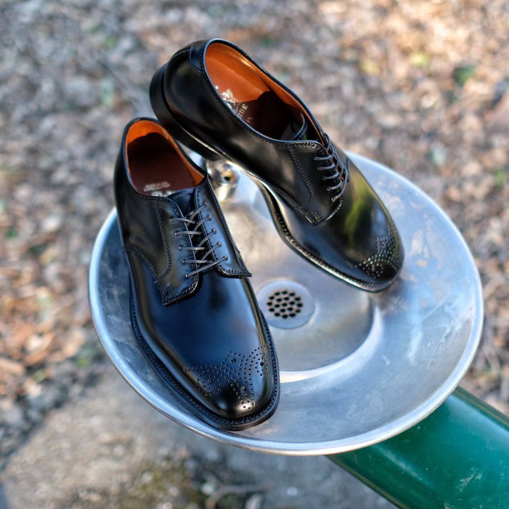 Alden x Brogue Chester Blucher