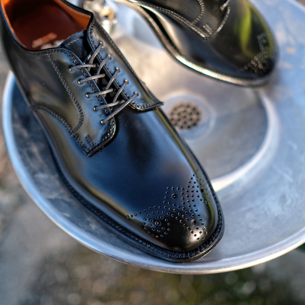 Alden x Brogue Chester Blucher