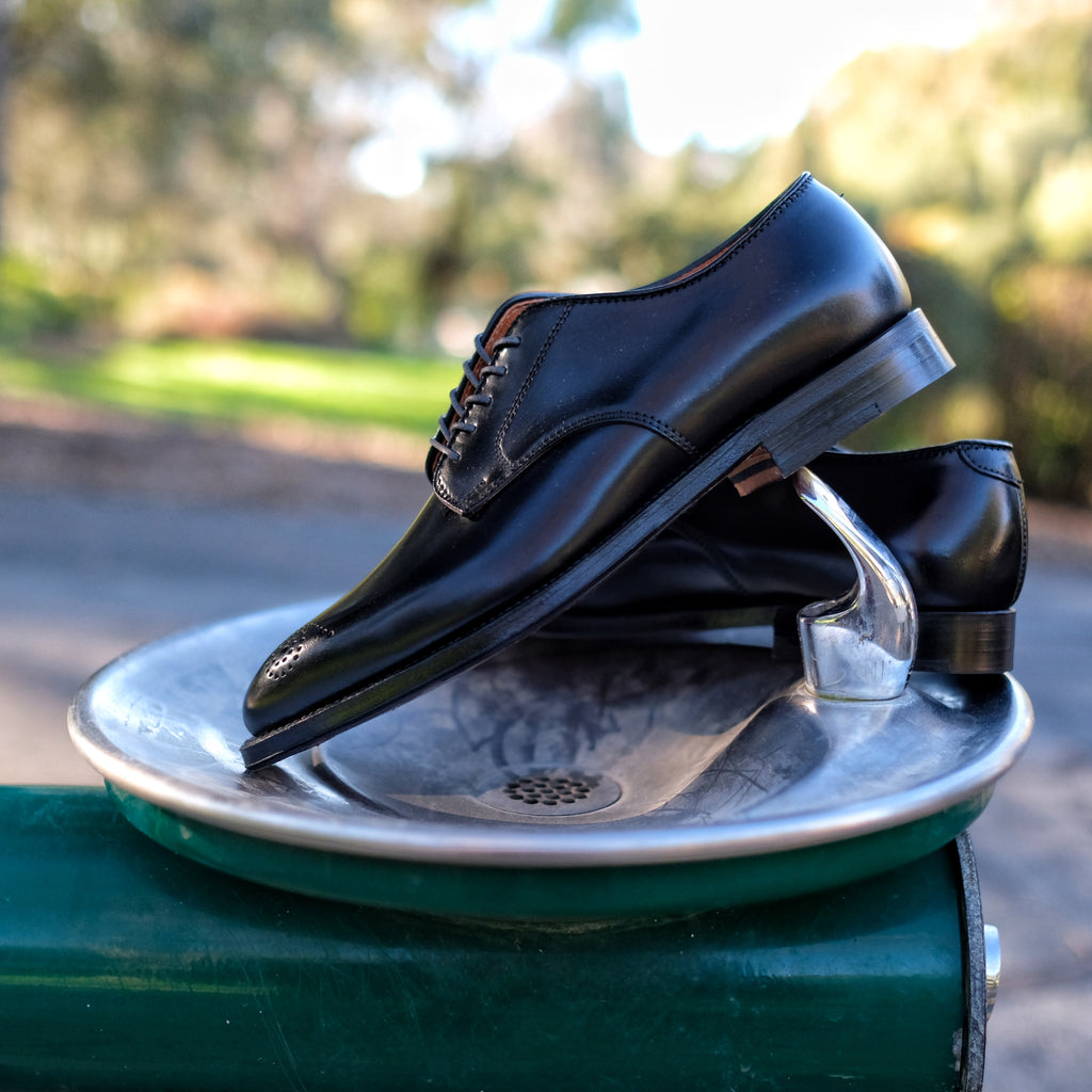 Alden x Brogue Chester Blucher