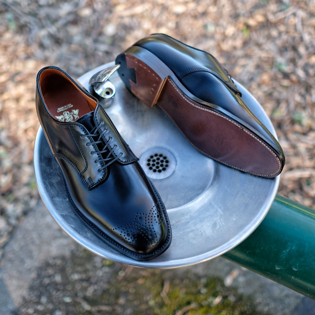 Alden x Brogue Chester Blucher