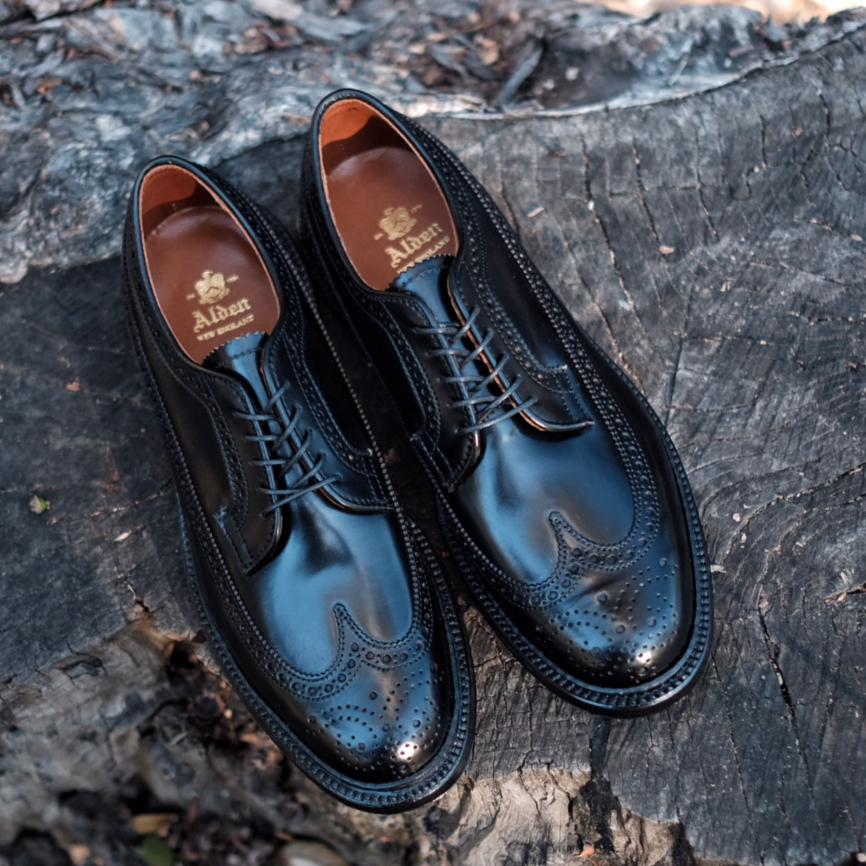 Alden Long Wing Blucher – BROGUE