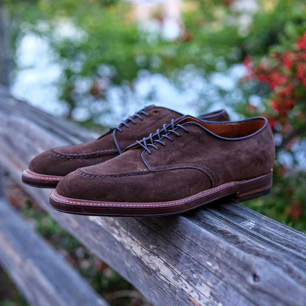 Alden x Brogue Mentor Blucher