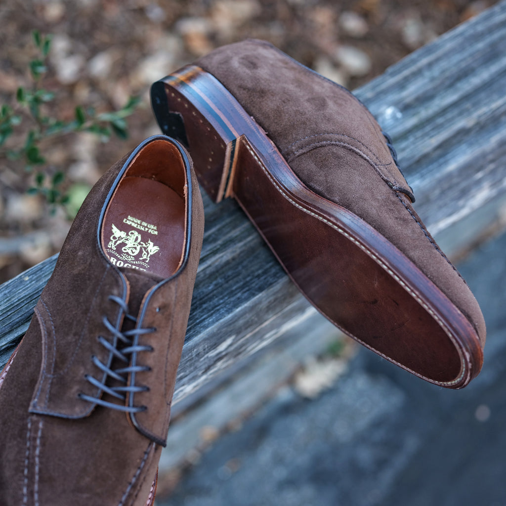 Alden x Brogue Mentor Blucher