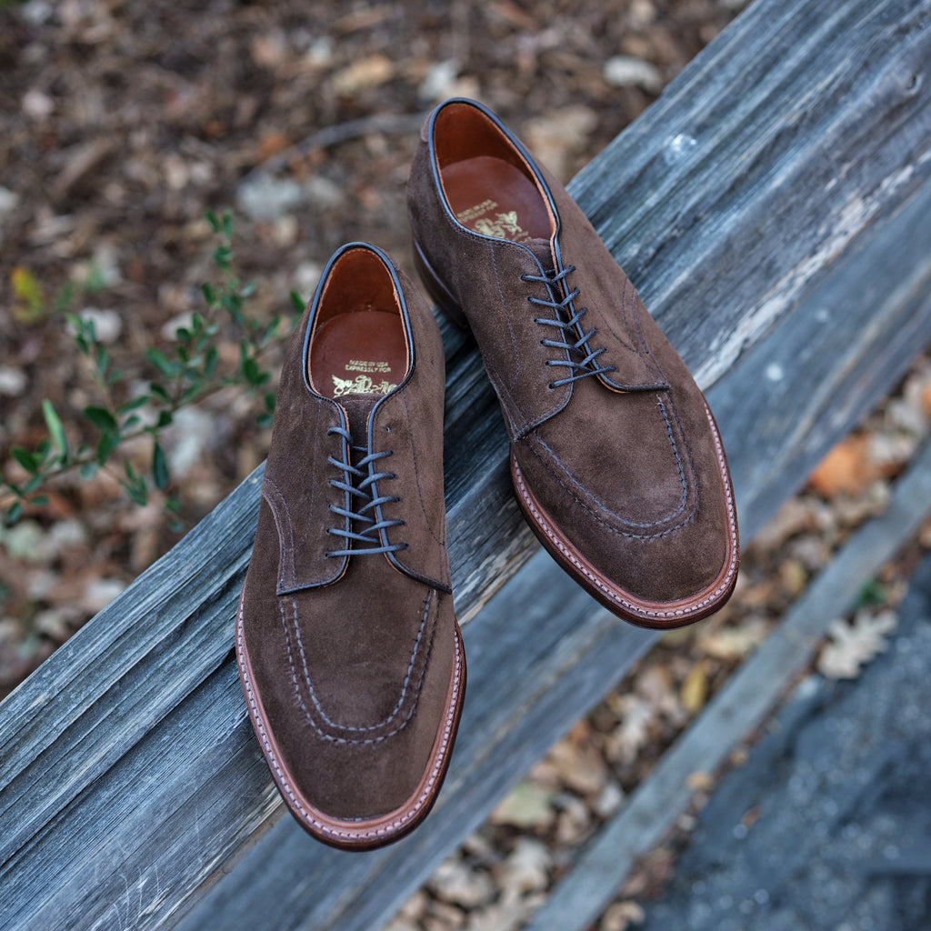 Alden x Brogue Mentor Blucher