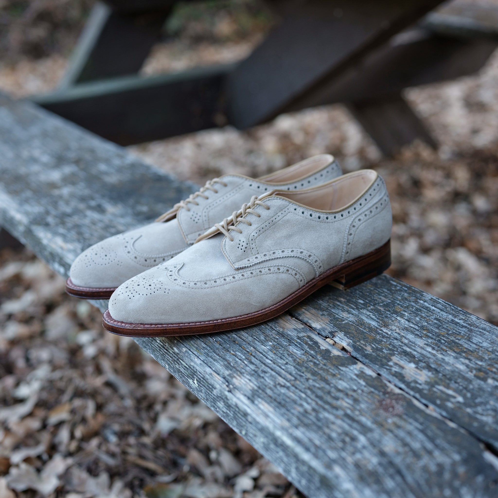 Alden x Brogue Charles Blucher – BROGUE