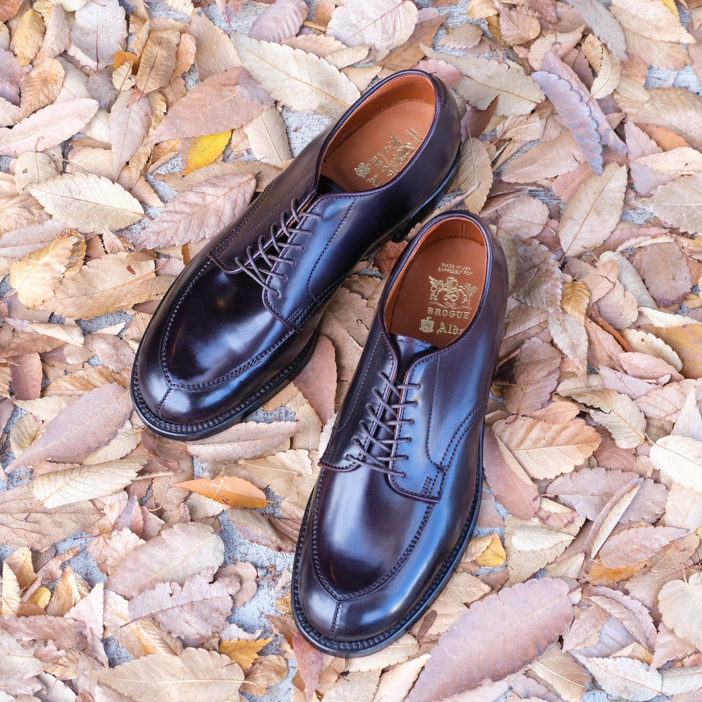 Alden x Brogue Kimura Algonquin Blucher (#8 Shell)