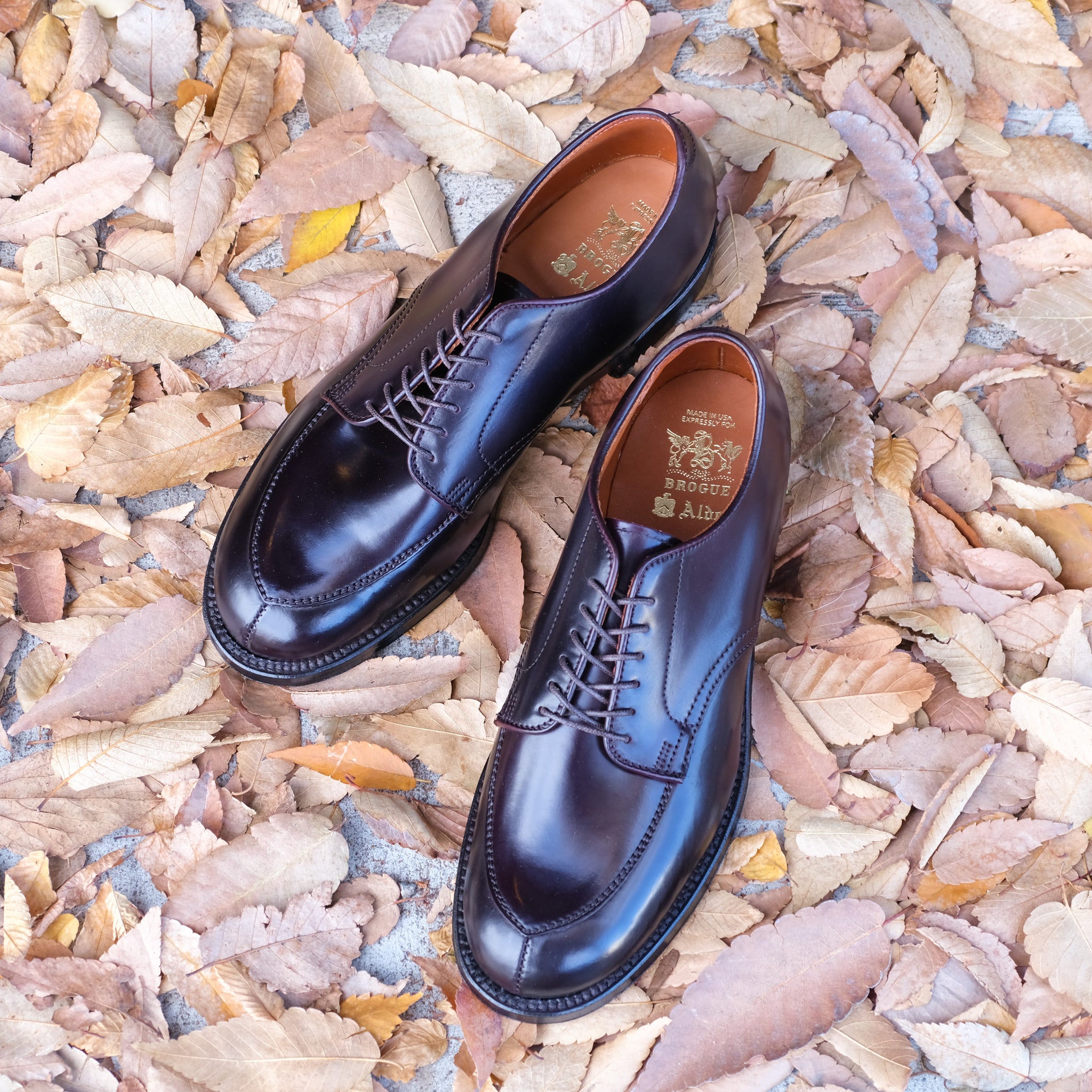 Alden x Brogue Kimura Algonquin Blucher (#8 Shell) – BROGUE